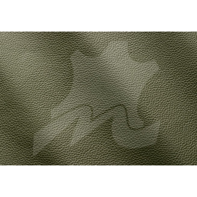 Aligo Group фото